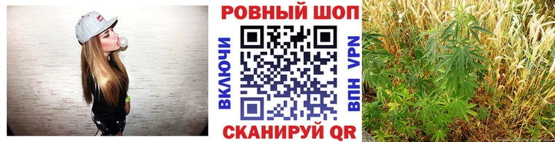 Где купить наркотики Краснозаводск A PVP  МАРИХУАНА  Галлюциногенные грибы  Гашиш  МЕФ 