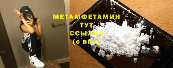 прущие грибы Богородицк