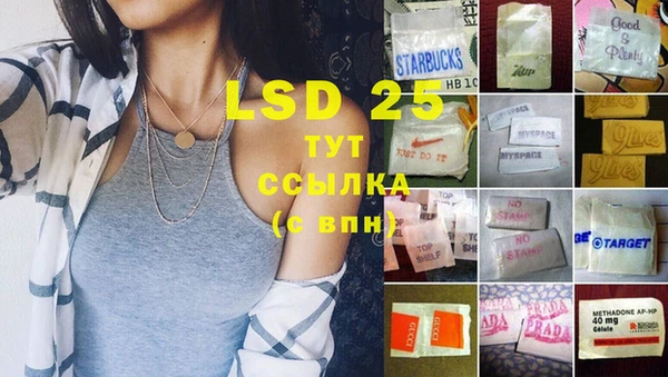 спиды Ростов
