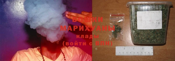 прущие грибы Богородицк