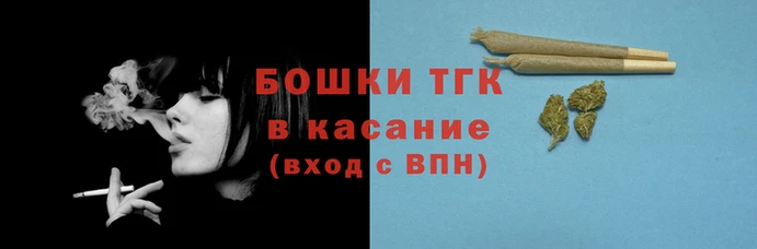 прущие грибы Богородицк
