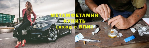 прущие грибы Богородицк