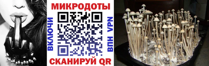 где найти Краснозаводск Галлюциногенные грибы MAGIC MUSHROOMS